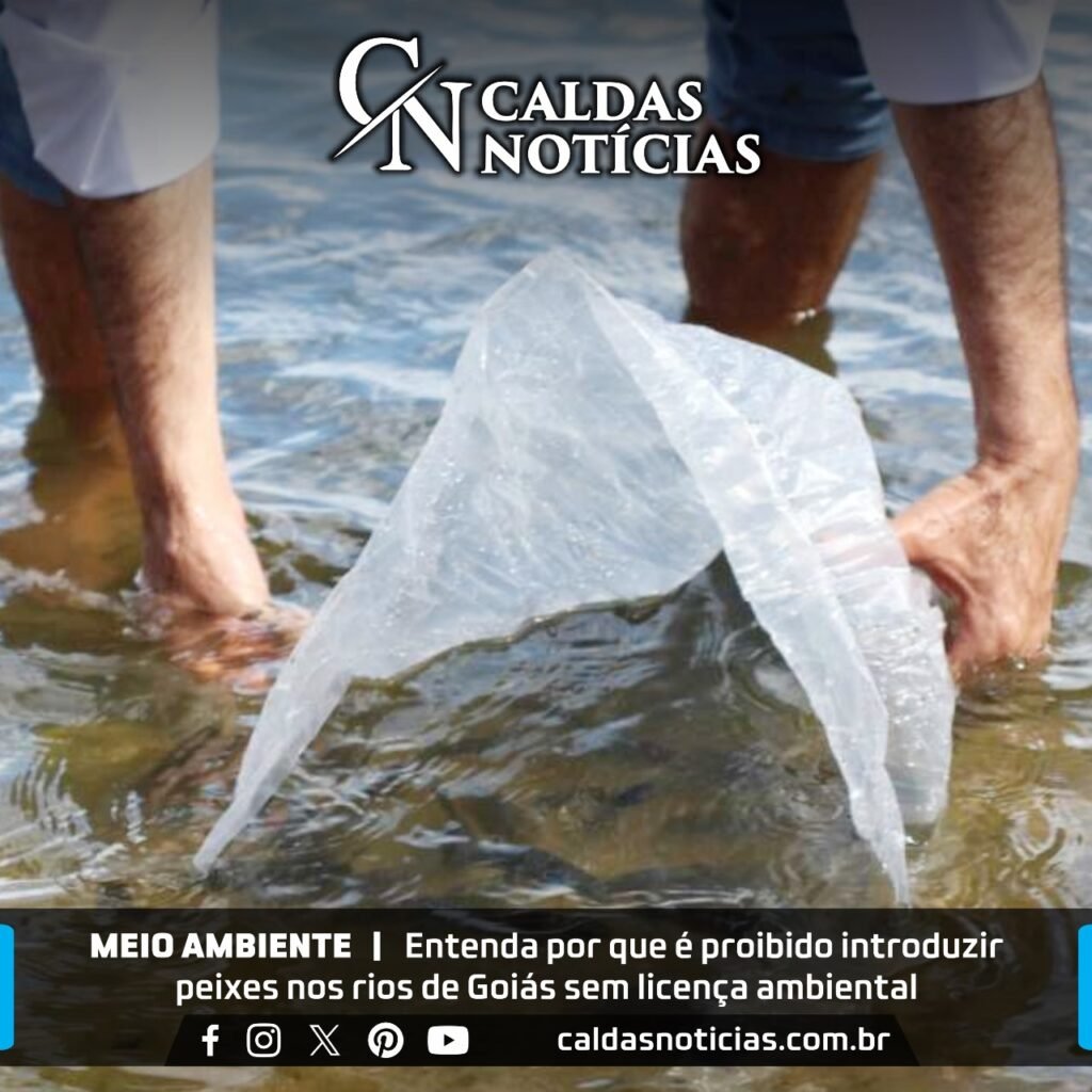 Caldas Noticias