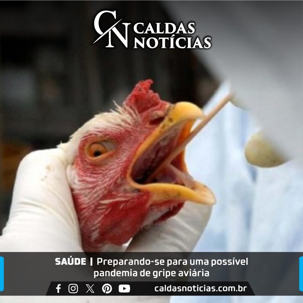 Caldas notícias