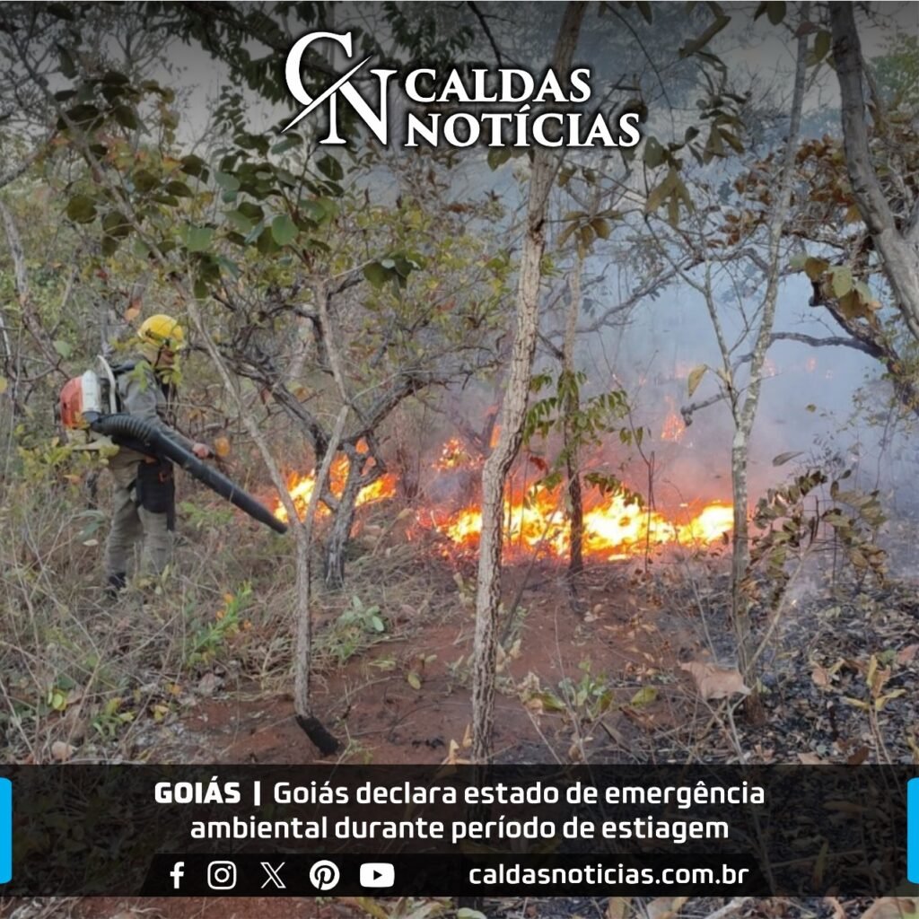 Caldas Notícias