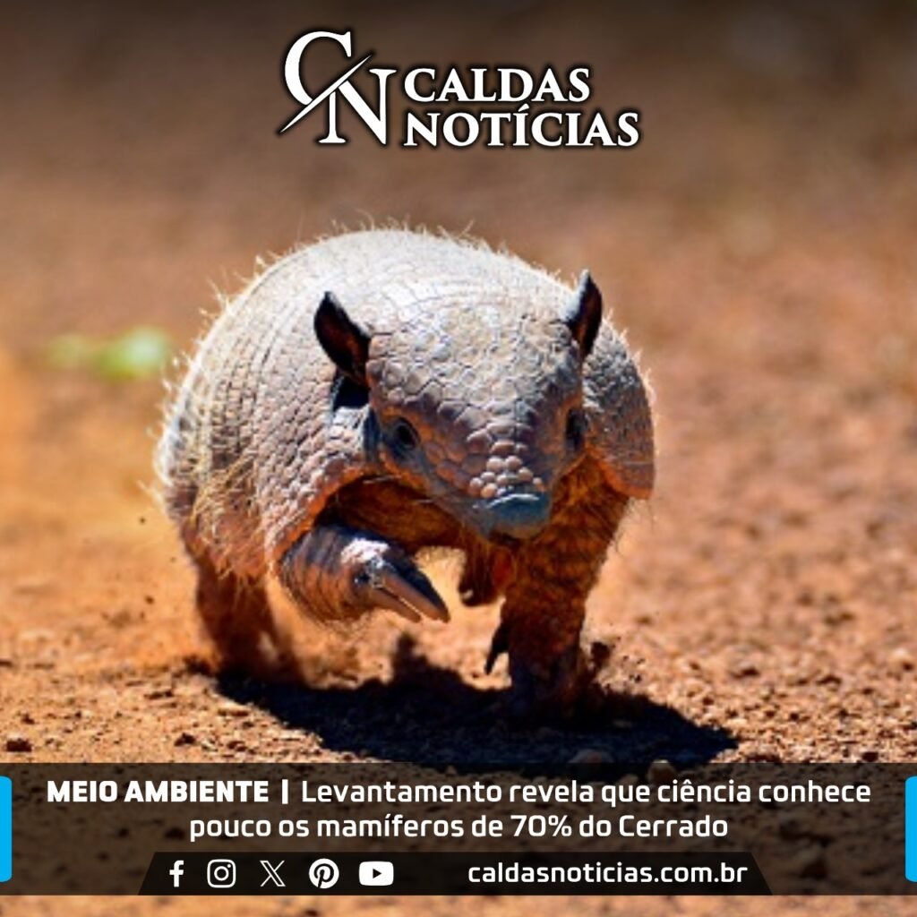 Caldas Noticias