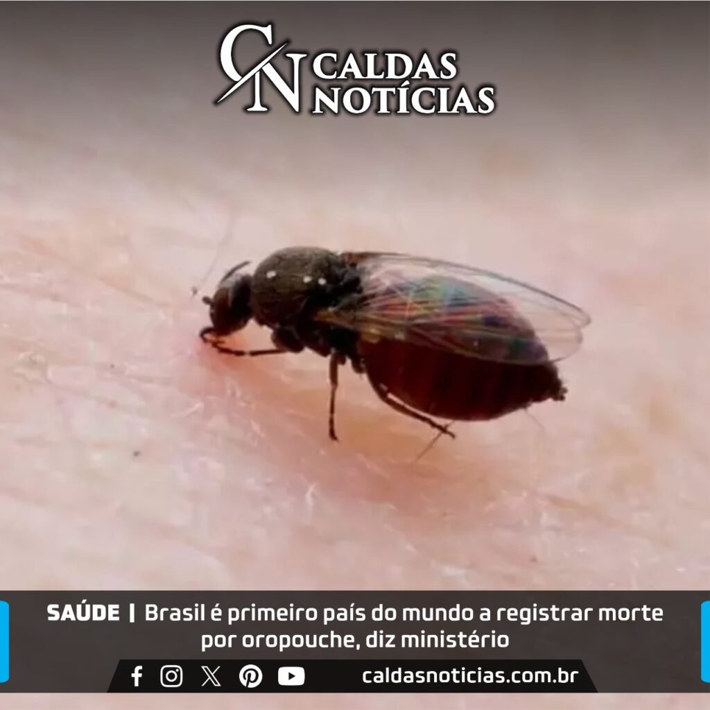 Caldas Noticias