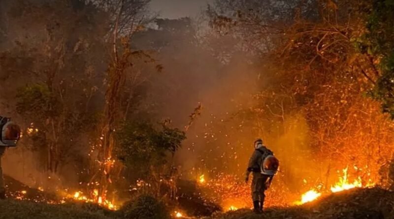 Caldas Noticias