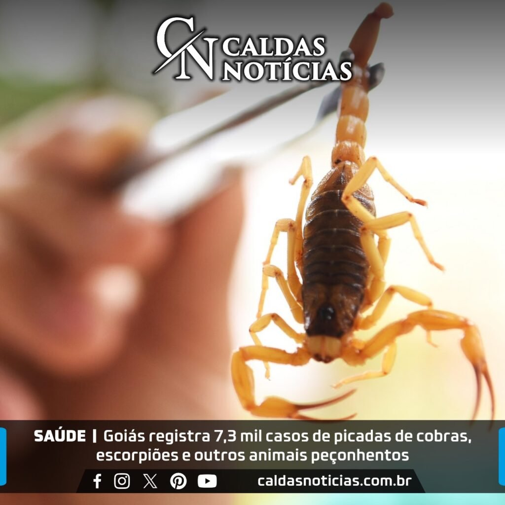 Caldas Noticias