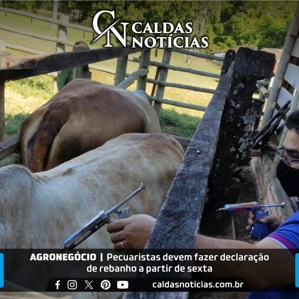 Caldas Noticias