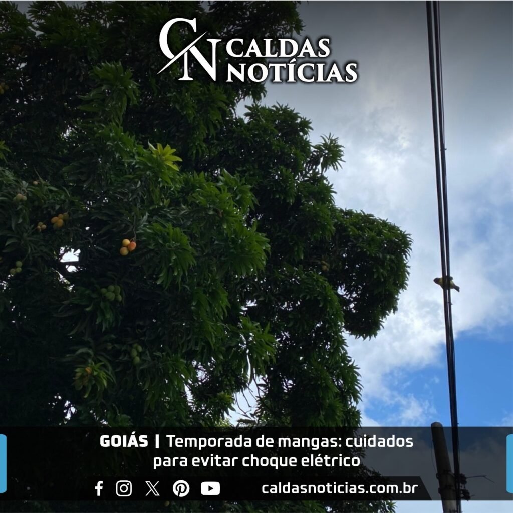 Caldas Noticias