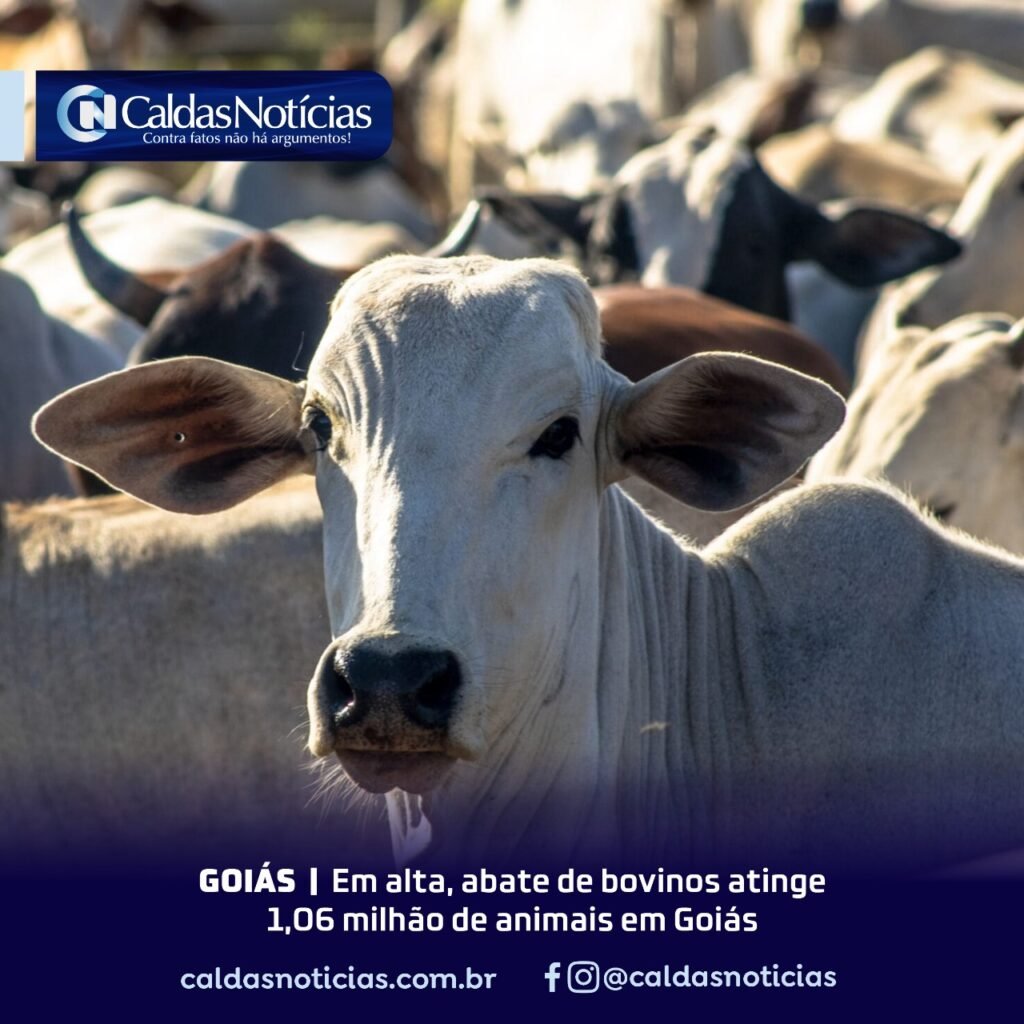 Caldas Noticias