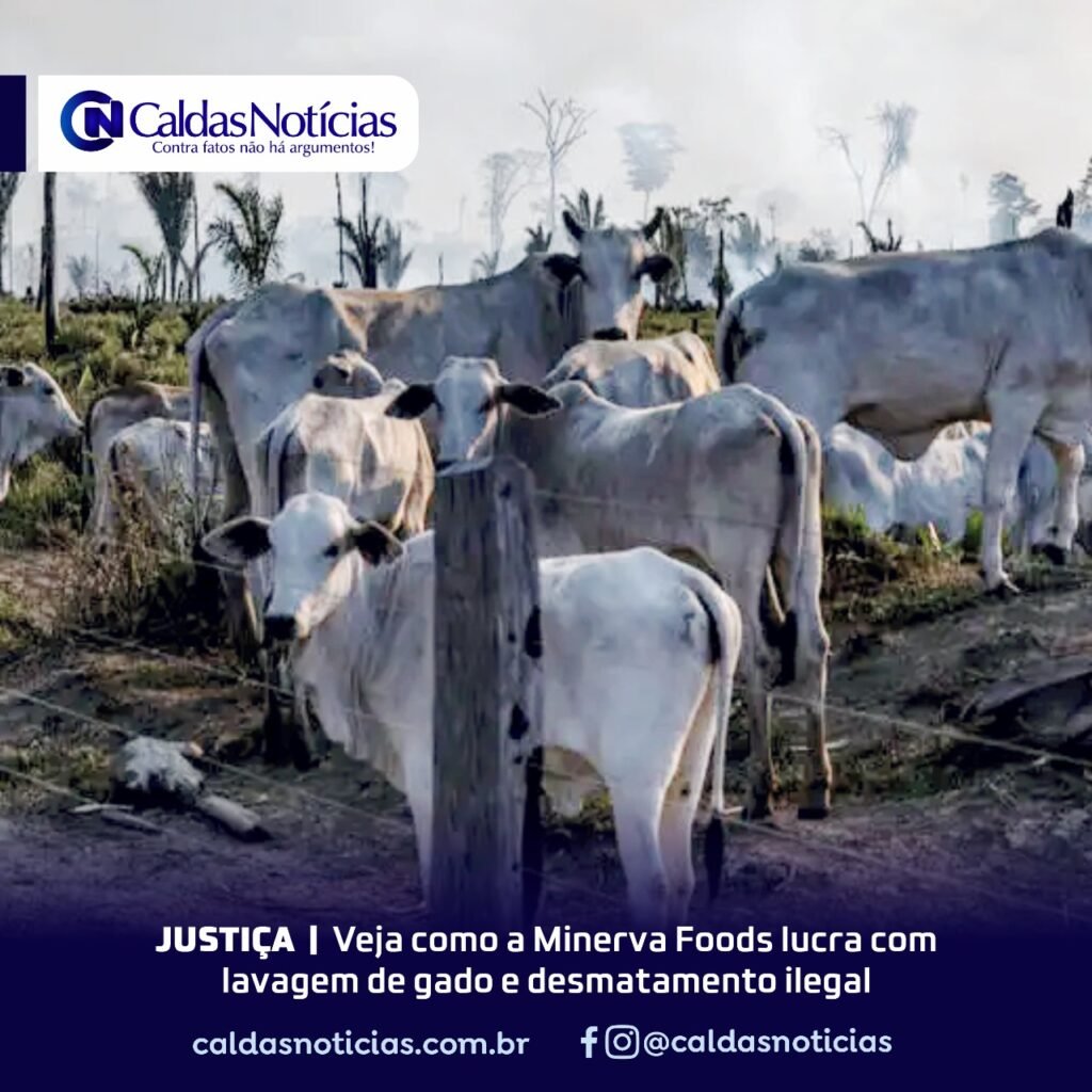 Caldas Noticias