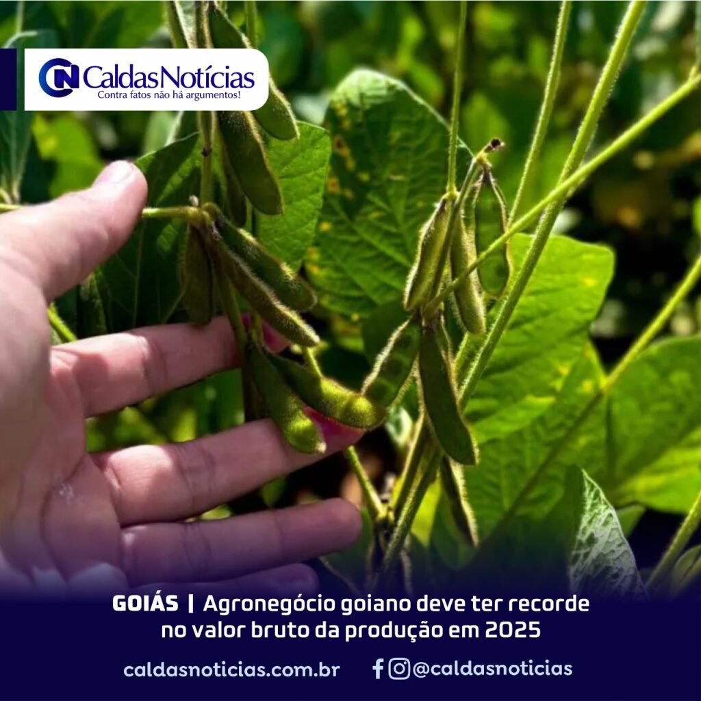 Caldas Noticias