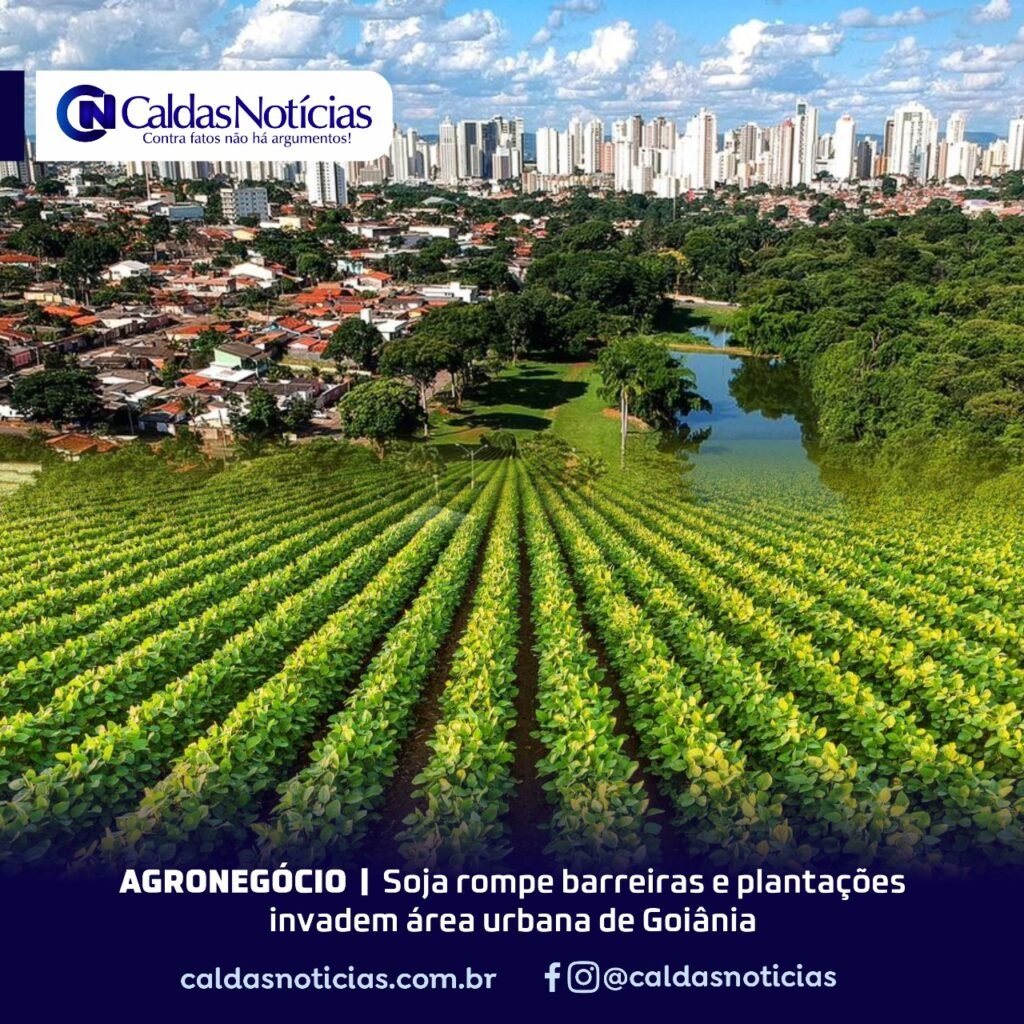 Caldas Noticias