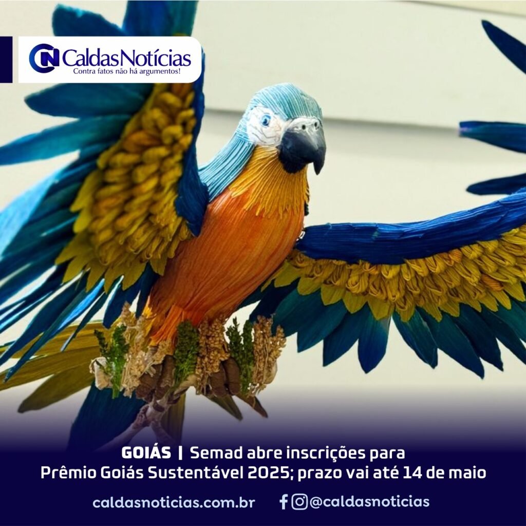 Caldas Noticias