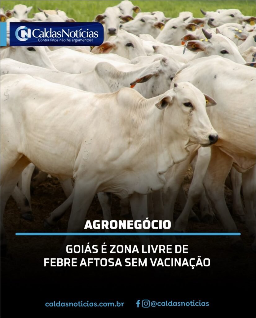 Caldas Noticias