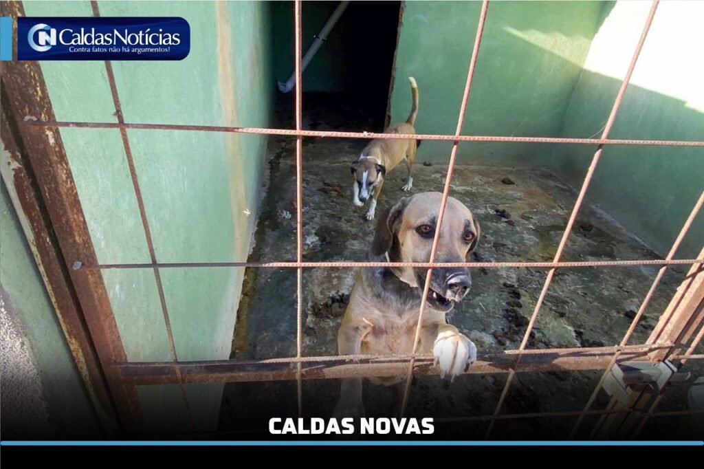 Caldas Noticias