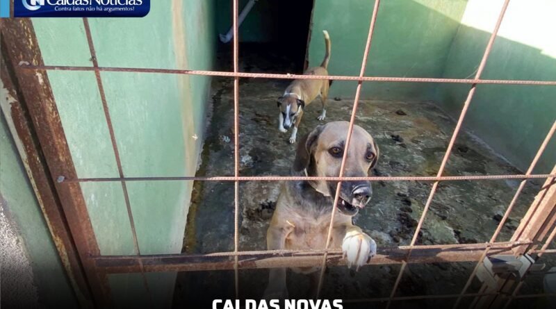 Caldas Noticias