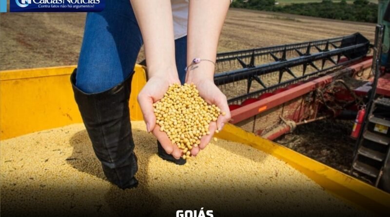 Caldas Noticias