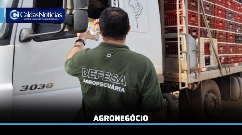 Caldas Noticias