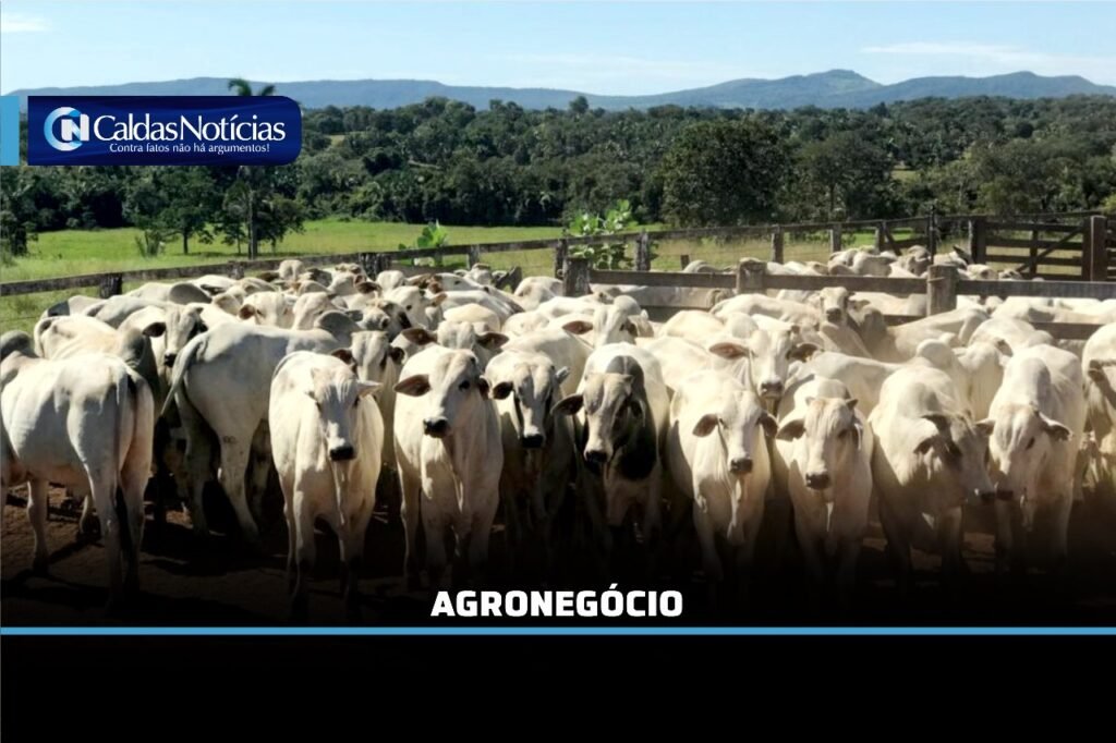 Caldas Noticias