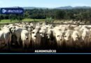 Caldas Noticias