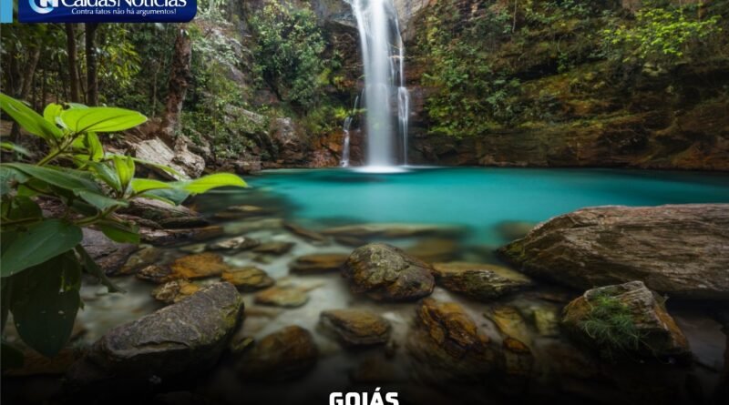 Caldas Notícias