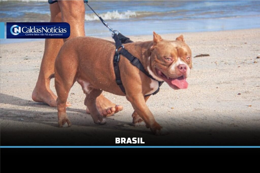 Caldas Noticias