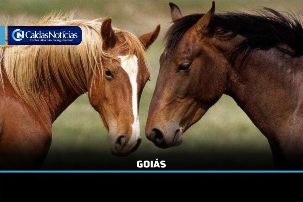 Caldas Noticias