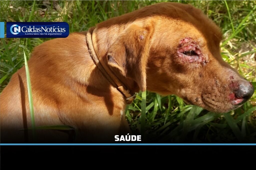 Caldas Noticias