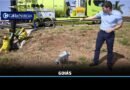 Caldas Noticias