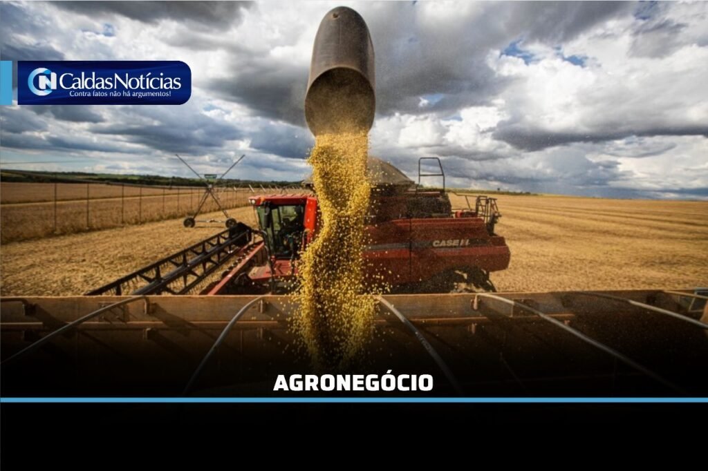Caldas Noticias