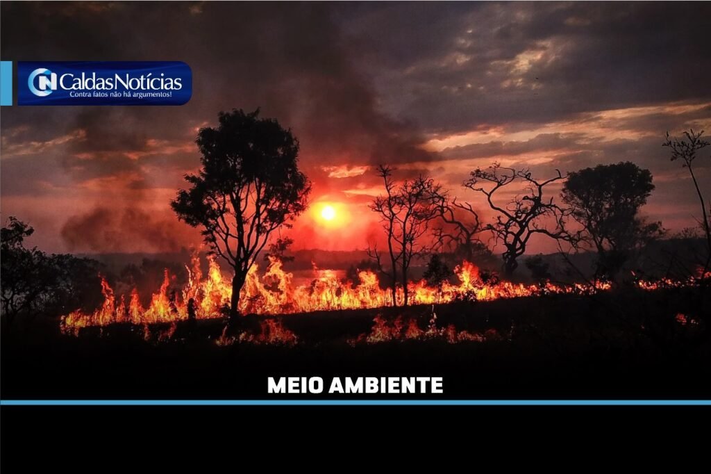 Caldas Noticias