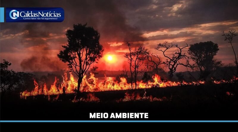 Caldas Noticias