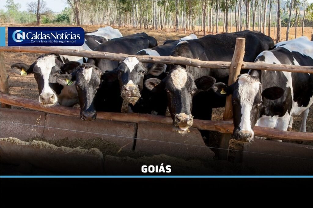 Caldas Noticias