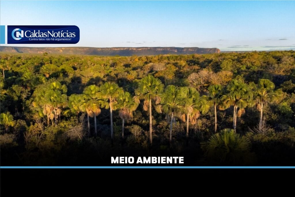 Caldas Noticias