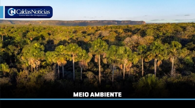 Caldas Noticias