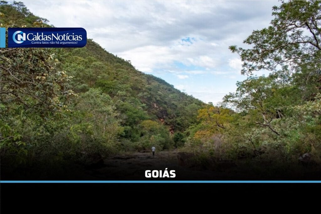 Caldas Noticias
