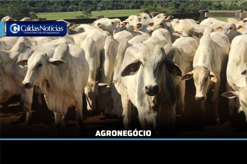 Caldas Noticias