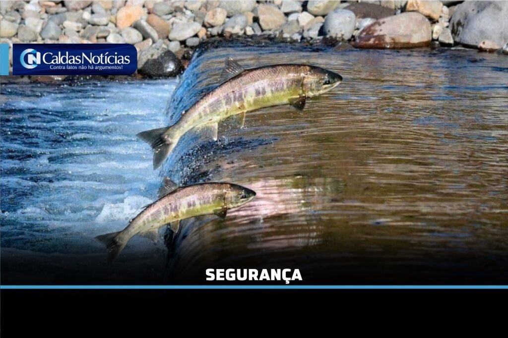 Caldas Noticias