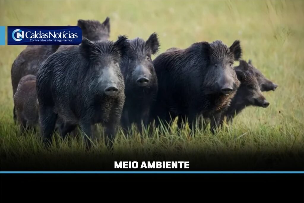 Caldas Noticias