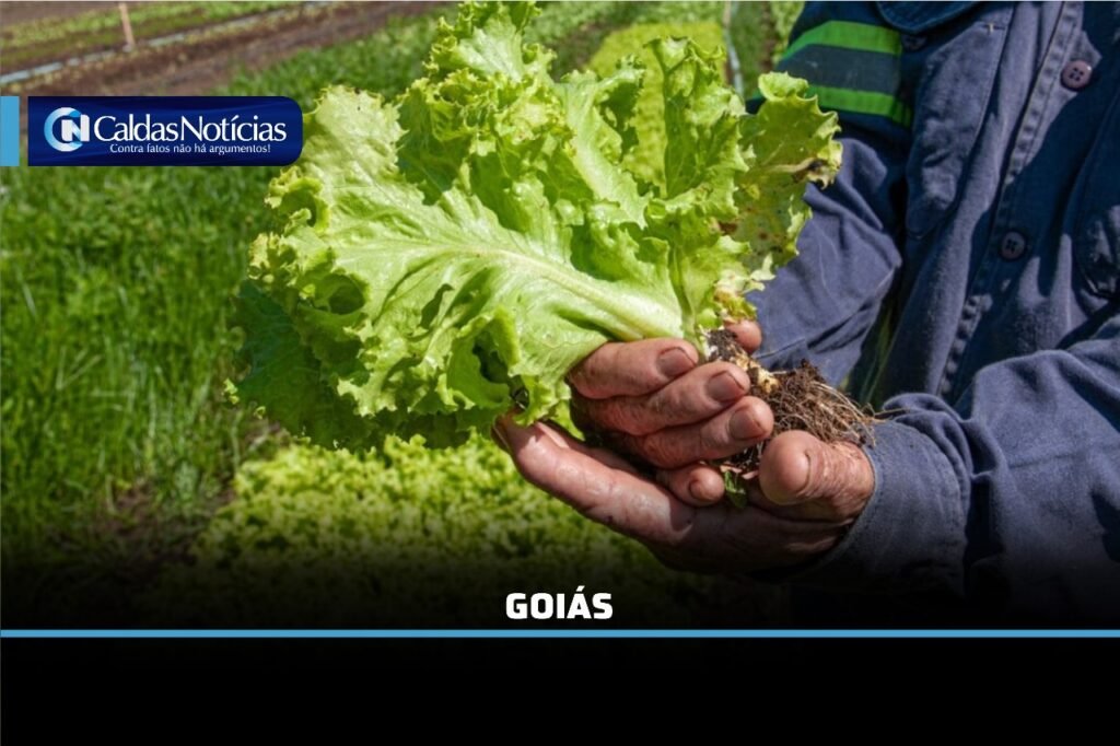 Caldas Noticias