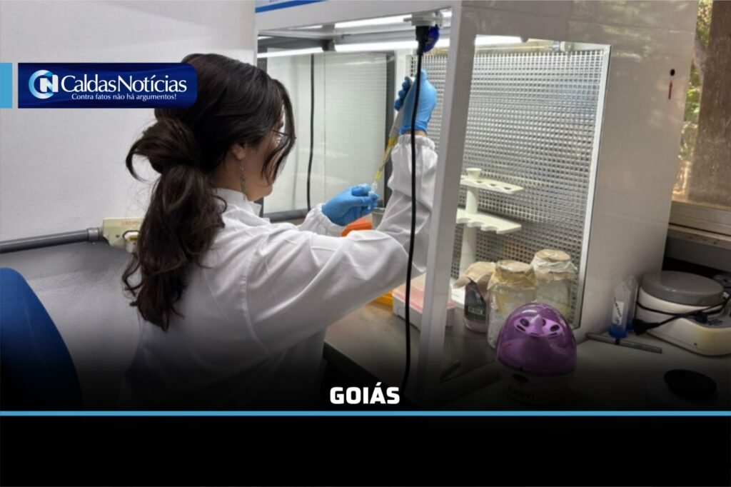Caldas Noticias
