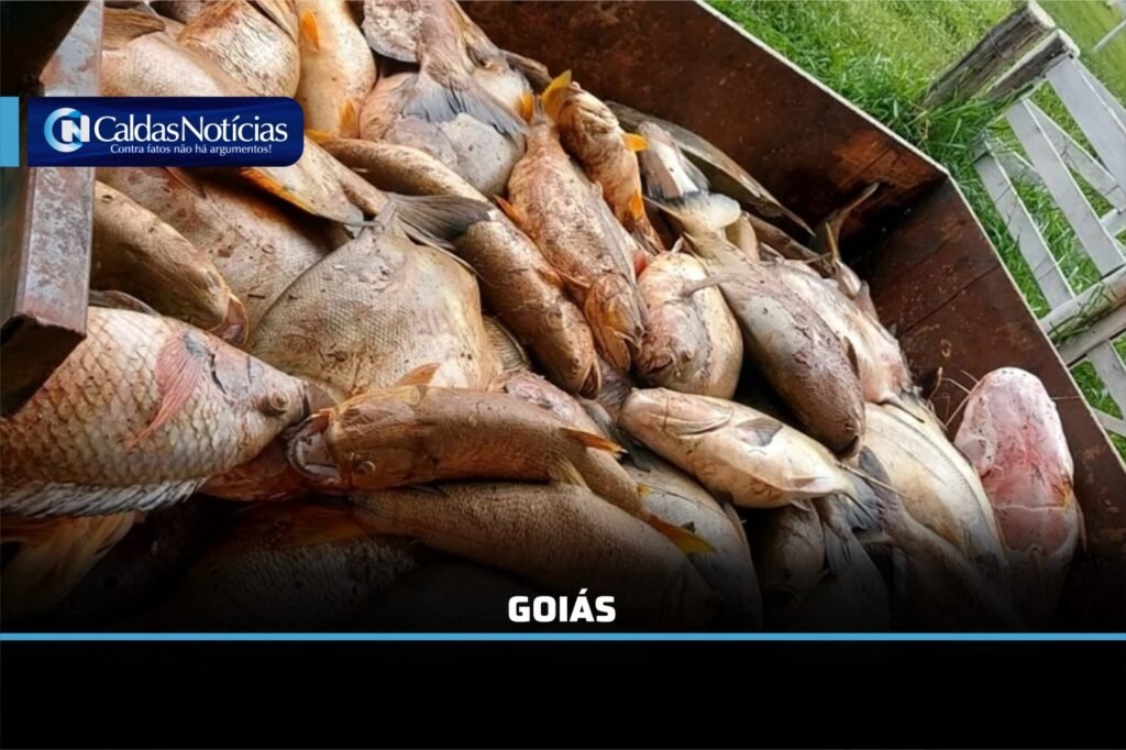 Caldas Noticias