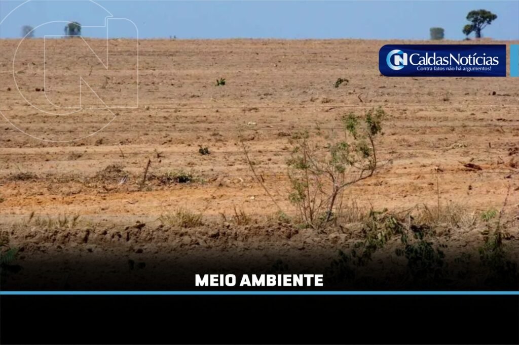 Caldas Noticias