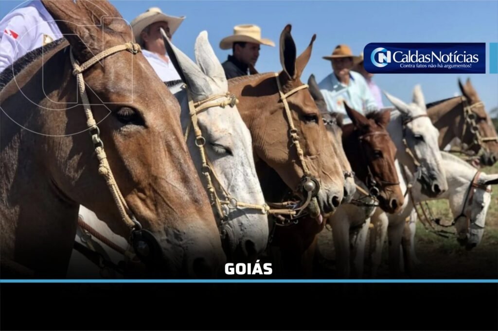 Caldas Noticias