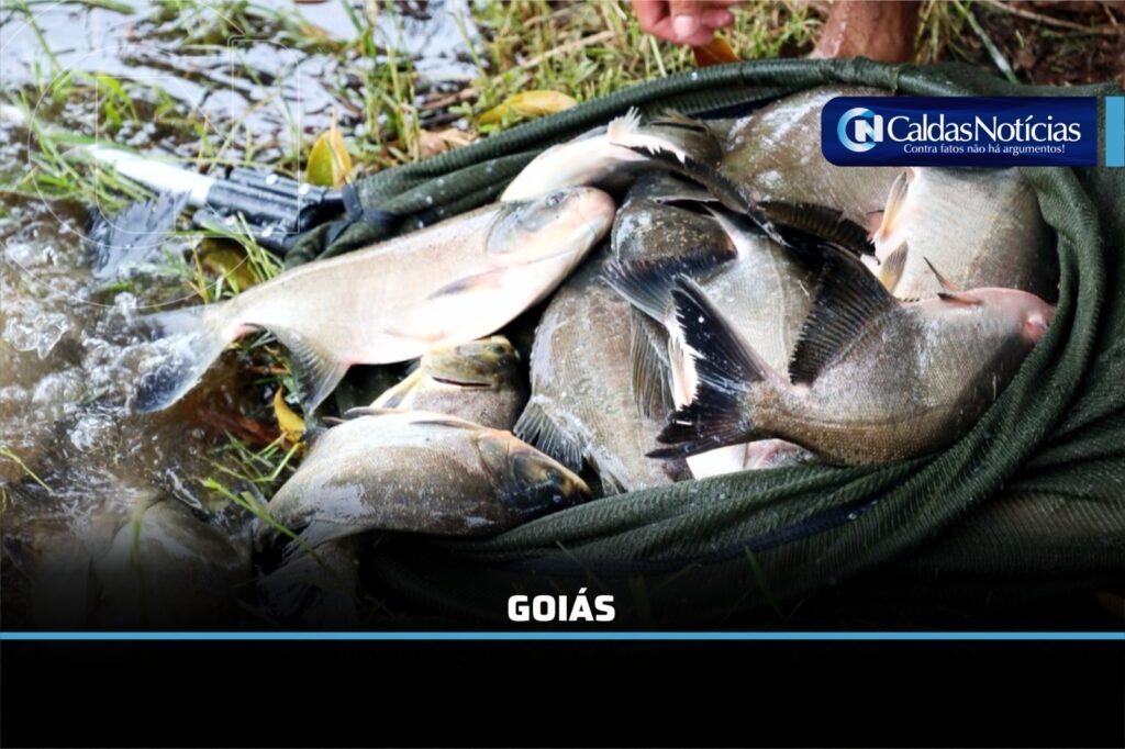 Caldas Noticias