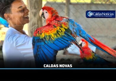 Caldas Noticias