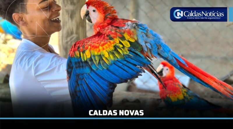 Caldas Noticias