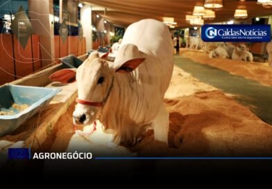 Caldas Noticias