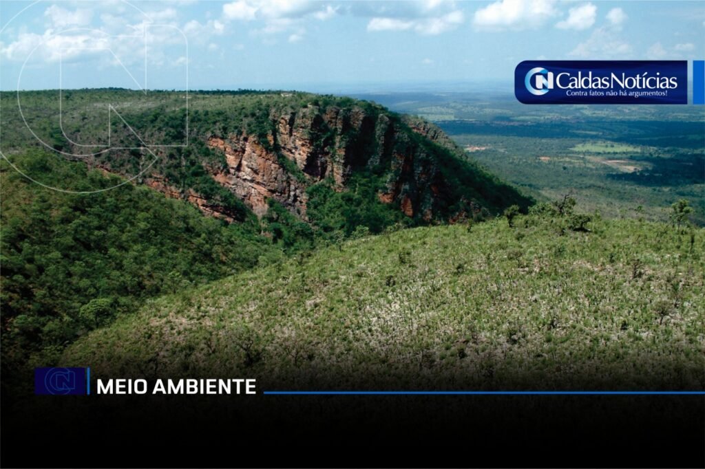 Caldas Noticias