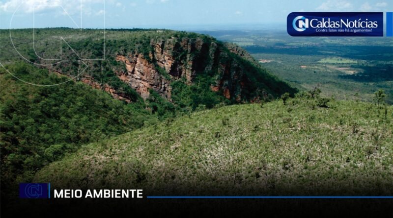 Caldas Noticias