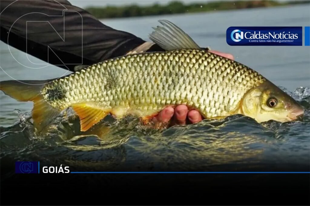 Caldas Noticias