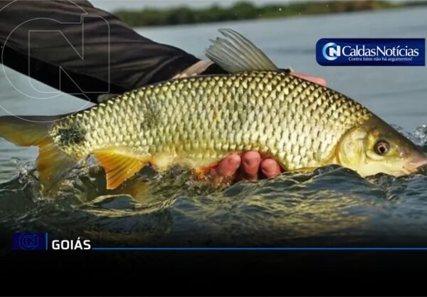 Caldas Noticias