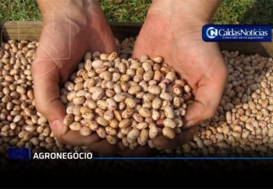 Caldas Noticias